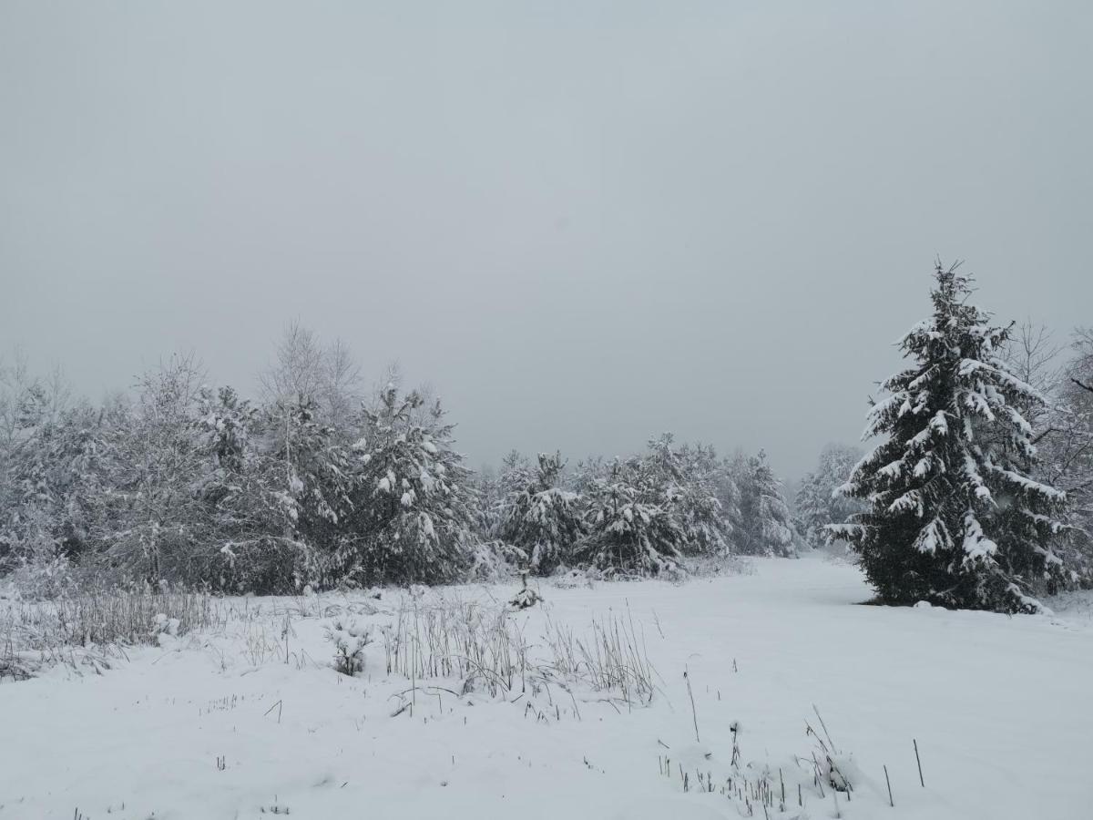 Agrochalupki Korczowa Exterior foto