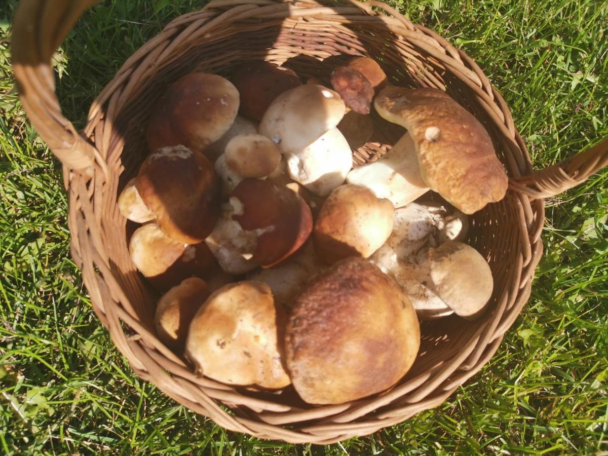 Agrochalupki Korczowa Exterior foto